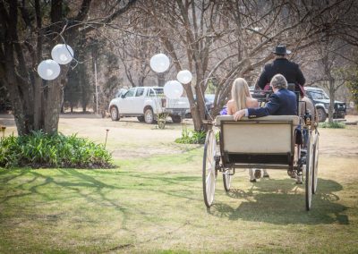 Rent horse and cart for wedding