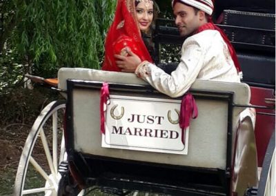 Horse & Carriage for Punjabi Wedding