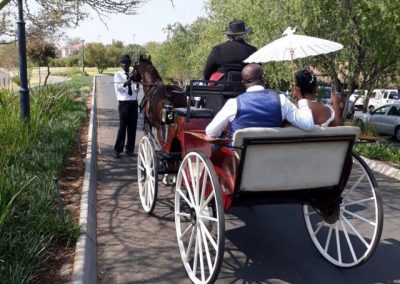 Horse & Cart for African Wedding