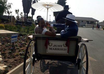 Horse & Cart for African Wedding