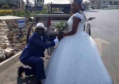 Horse & Cart for African Wedding