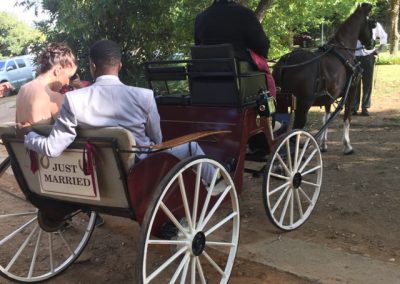 Wedding Carriage for Hire