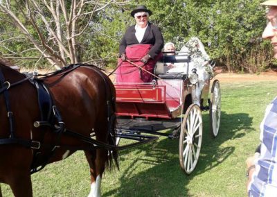 Wedding Transport in Gauteng